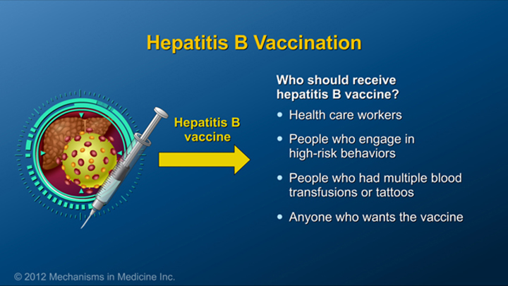 IBD and Hepatitis B Vaccine